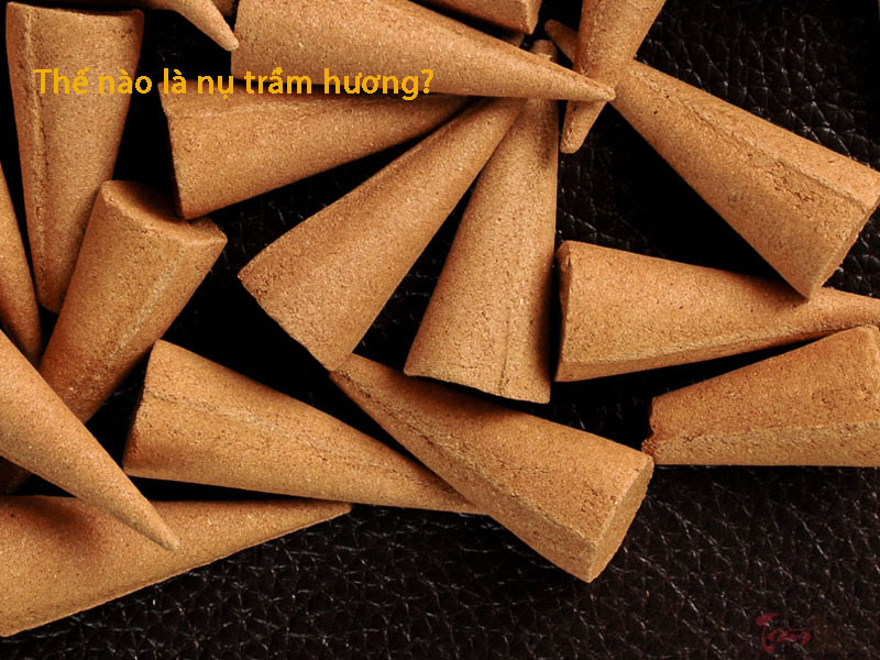 Thế nào là nụ trầm hương?