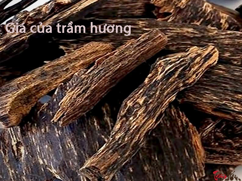 Giá của trầm hương