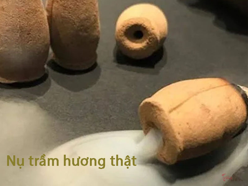 Nụ trầm hương thật có mùi như thế nào?