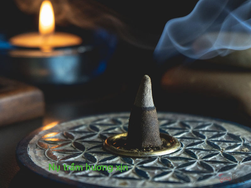 Nụ trầm hương xịn mang lại mùi thơm đầy khác biệt