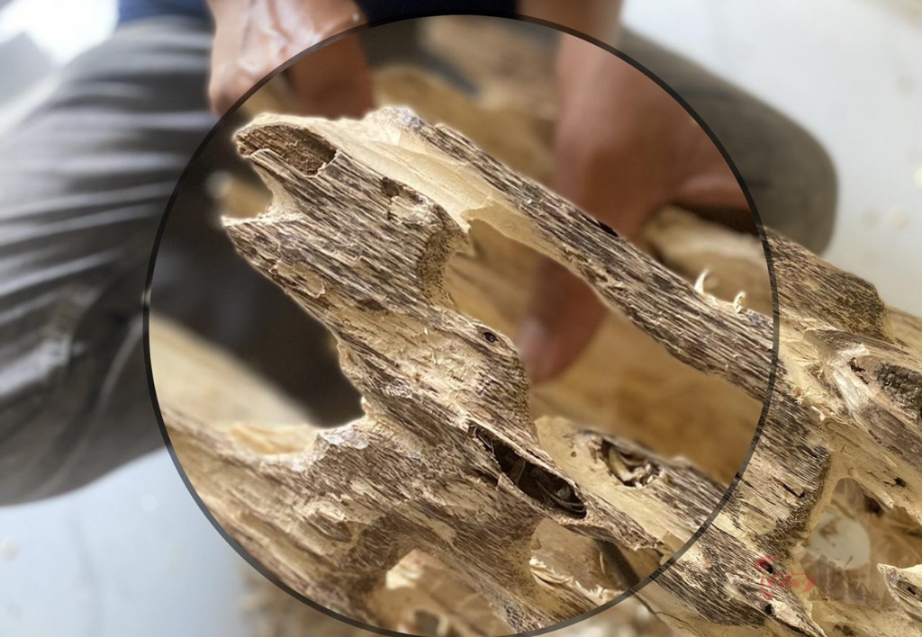 Tiêu chí để định giá trầm hương bạn đã biết chưa