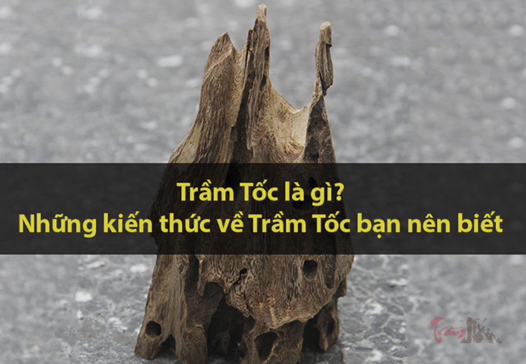 Tìm hiểu trầm hương tốc là gì?