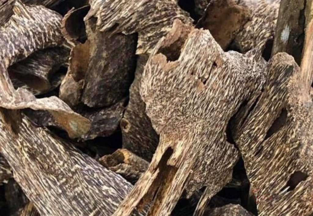 Mua trầm hương ở Hà Nội nơi nào uy tín bạn đã biết chưa?