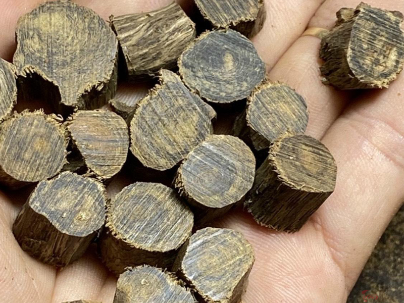 Cơ hội vàng trong mua bán trầm hương xuất khẩu
