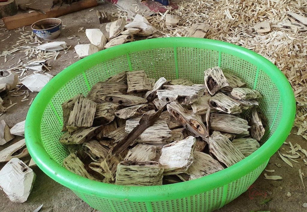 Cách nhận biết trầm hương tự nhiên như thế nào cho chính xác nhất?