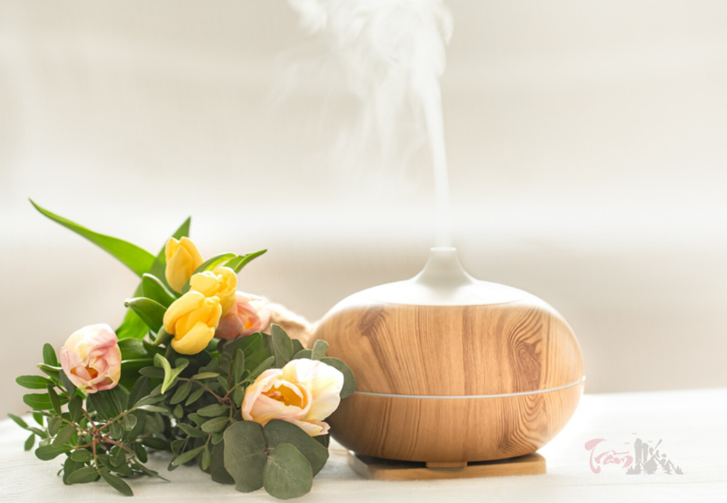 Cách sử dụng trầm hương đuổi muỗi phát huy hiệu quả
